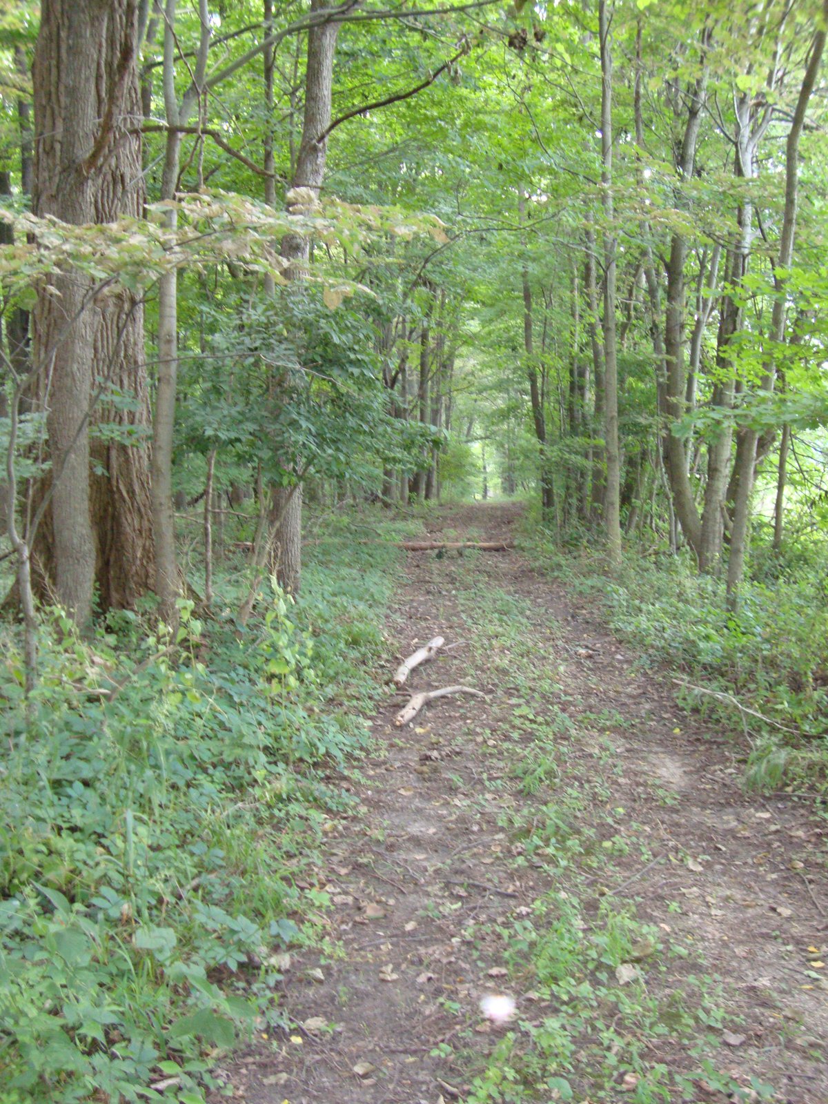 Property photo 5 - 160 Acres Offered in 6 Tracts